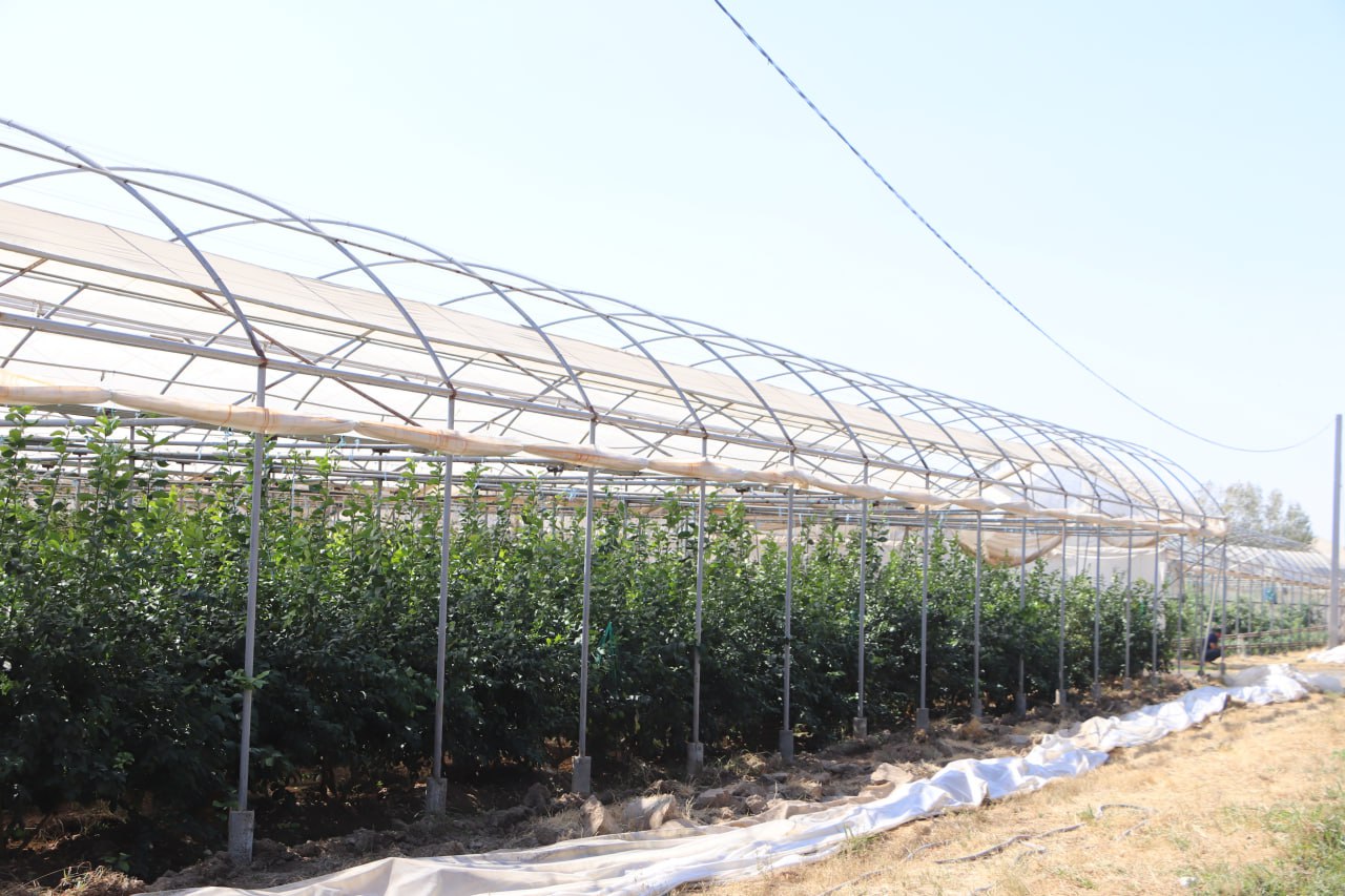 photo_2025-10-29_10-54-46.jpg photo_2025-10-29_10-54-46.jpg