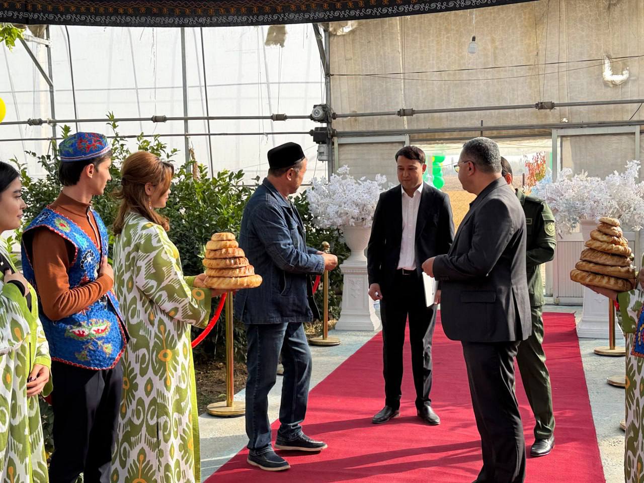 photo_2_2025-11-04_18-09-50.jpg photo_2_2025-11-04_18-09-50.jpg