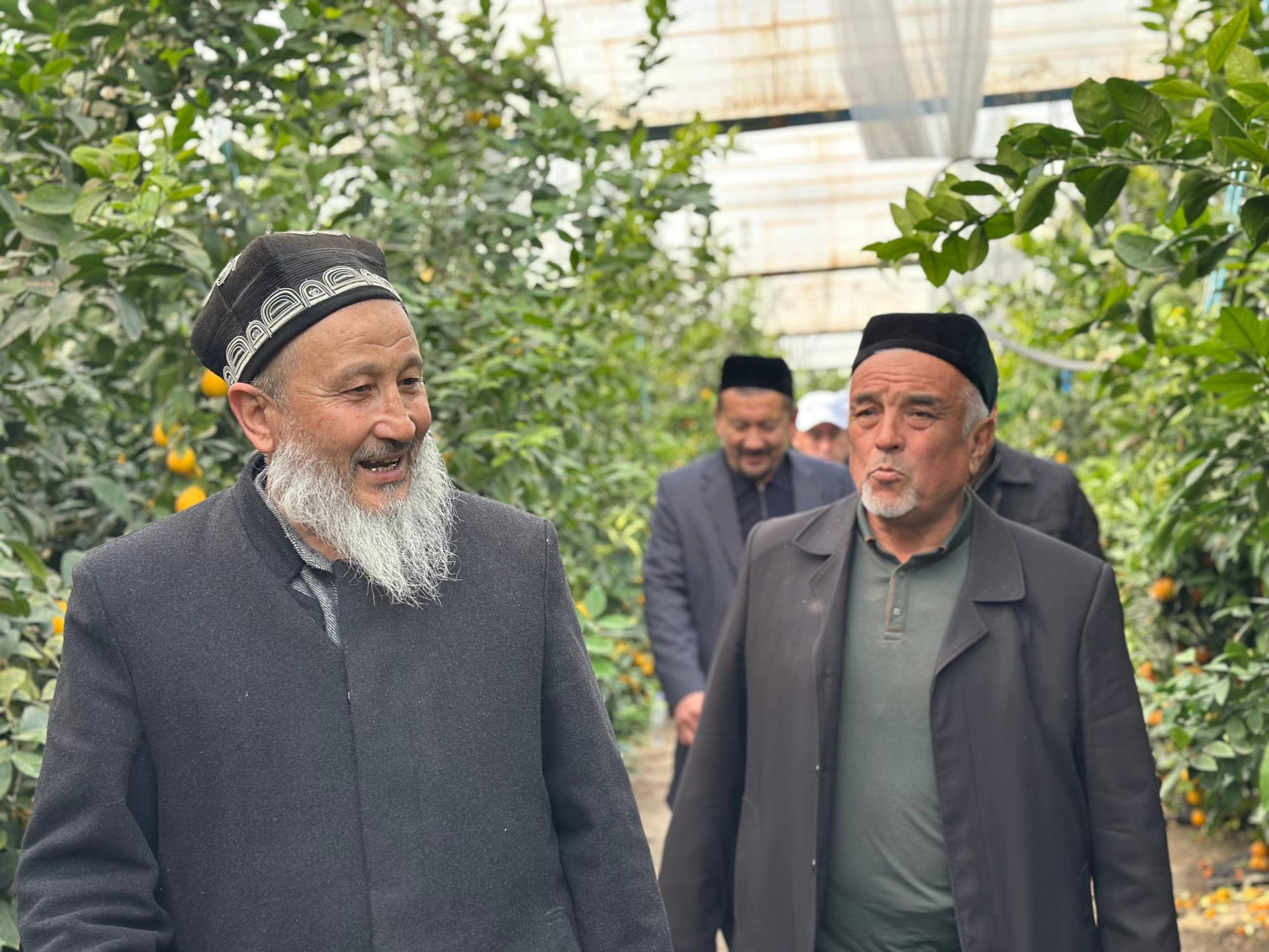 photo_4_2025-11-04_17-42-04.jpg photo_4_2025-11-04_17-42-04.jpg