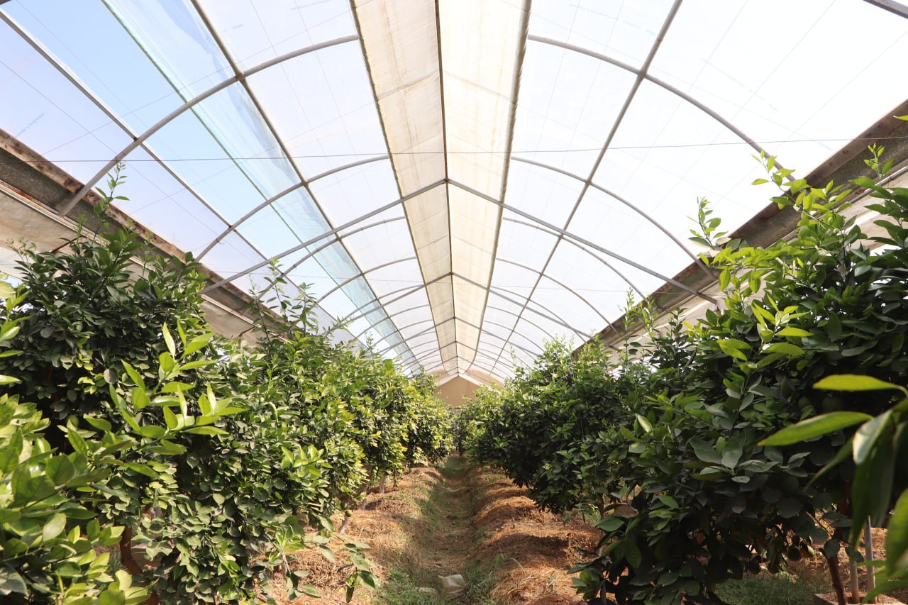 photo_2025-10-29_10-54-47.jpg photo_2025-10-29_10-54-47.jpg