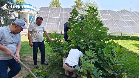 Дизайн без названия - 2024-08-24T114711.074.jpg