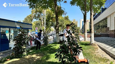 Дизайн без названия - 2024-08-24T121246.453.jpg