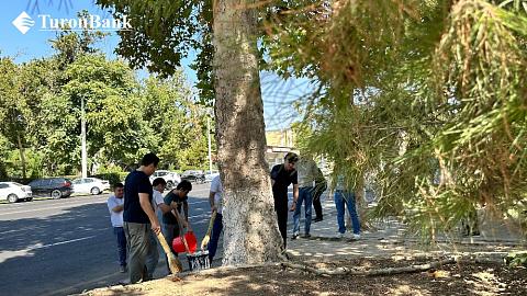 Дизайн без названия - 2024-08-24T121442.079.jpg