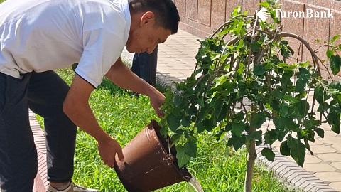 Дизайн без названия - 2024-08-24T114926.830.jpg